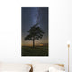 Lonely Tree Field Night Wall Decal