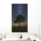 Lonely Tree Field Night Wall Decal
