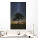 Lonely Tree Field Night Wall Decal