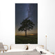 Lonely Tree Field Night Wall Decal