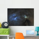 Ic 4603 Dust and Wall Decal