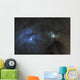Ic 4603 Dust and Wall Decal