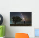 Explorer Looking Milky Way Wall Decal