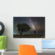 Explorer Looking Milky Way Wall Decal