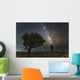 Explorer Looking Milky Way Wall Decal