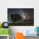 Explorer Looking Milky Way Wall Decal