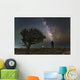 Explorer Looking Milky Way Wall Decal
