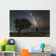 Explorer Looking Milky Way Wall Decal
