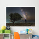 Explorer Looking Milky Way Wall Decal
