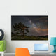Lone Tree Top Mountain Wall Decal