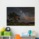 Lone Tree Top Mountain Wall Decal