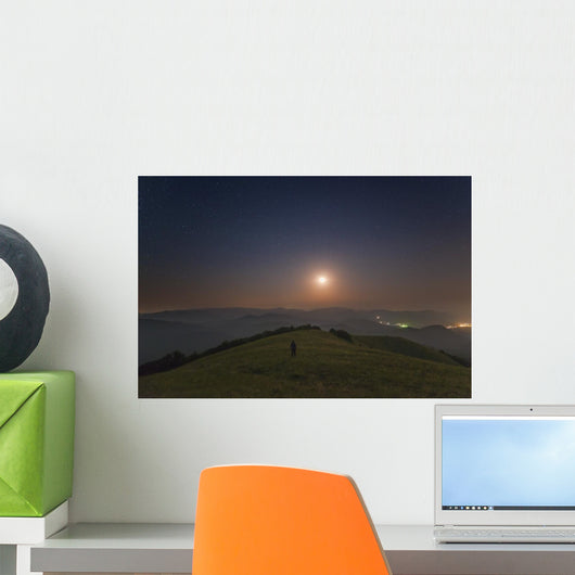 Lone Man Stands Mountains Wall Decal