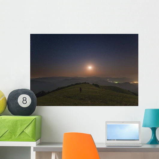 Lone Man Stands Mountains Wall Decal