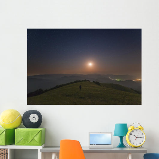 Lone Man Stands Mountains Wall Decal