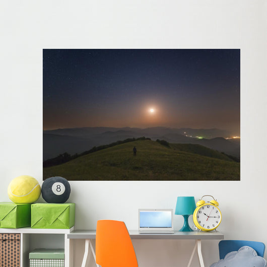 Lone Man Stands Mountains Wall Decal