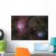 Lagoon Nebula and Trifid Wall Decal