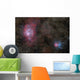 Lagoon Nebula and Trifid Wall Decal