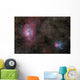 Lagoon Nebula and Trifid Wall Decal