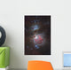 Messier 42 Great Nebula Wall Decal