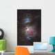 Messier 42 Great Nebula Wall Decal