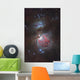 Messier 42 Great Nebula Wall Decal