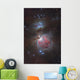 Messier 42 Great Nebula Wall Decal
