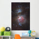 Messier 42 Great Nebula Wall Decal