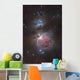 Messier 42 Great Nebula Wall Decal