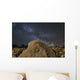 Fossilized Ammonite and Milky Wall Decal