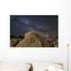 Fossilized Ammonite and Milky Wall Decal