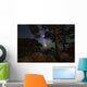 Milky Way Shining through Wall Decal