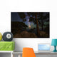 Milky Way Shining through Wall Decal