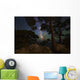 Milky Way Shining through Wall Decal