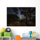 Milky Way Shining through Wall Decal