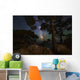 Milky Way Shining through Wall Decal