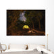 Illuminated Tent and Fire Wall Decal