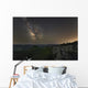 Milky Way over Forest Wall Decal
