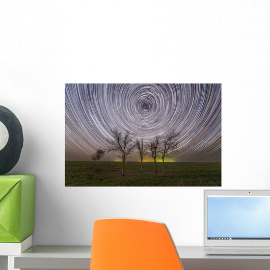 Star Trails under Trees Wall Decal