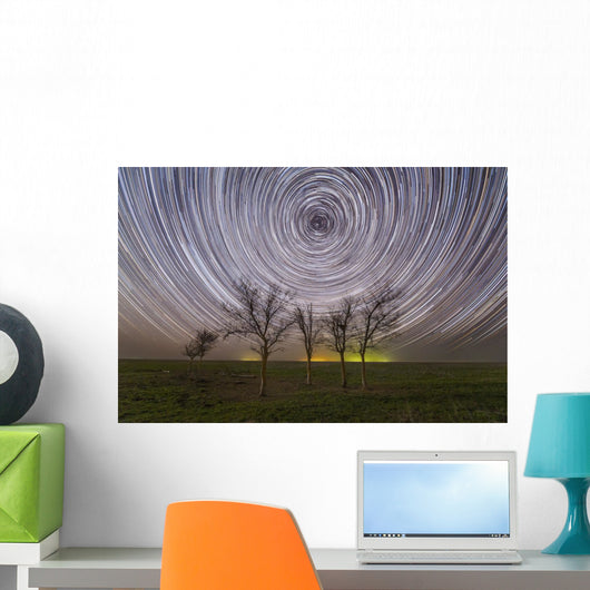 Star Trails under Trees Wall Decal