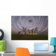 Star Trails under Trees Wall Decal