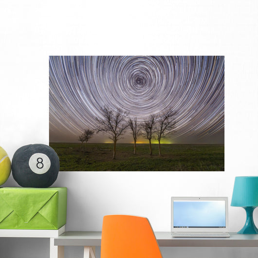 Star Trails under Trees Wall Decal