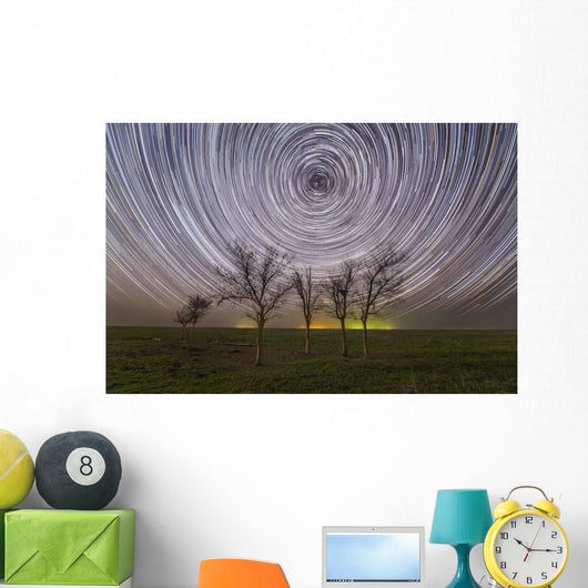 Star Trails under Trees Wall Decal