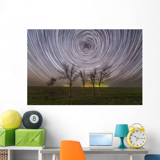 Star Trails under Trees Wall Decal