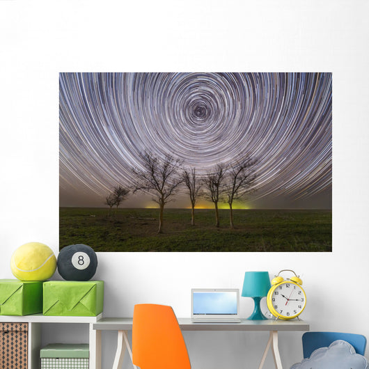 Star Trails under Trees Wall Decal