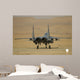 F-15c Baz Israeli Air Wall Decal Design 8