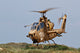 Ah-1s Tzefa Attack Helicopter Wall Decal Design 9
