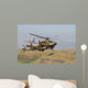 Two Ah-64a Peten Attack Wall Decal