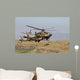 Two Ah-64a Peten Attack Wall Decal