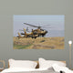 Two Ah-64a Peten Attack Wall Decal
