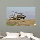 Two Ah-64a Peten Attack Wall Decal